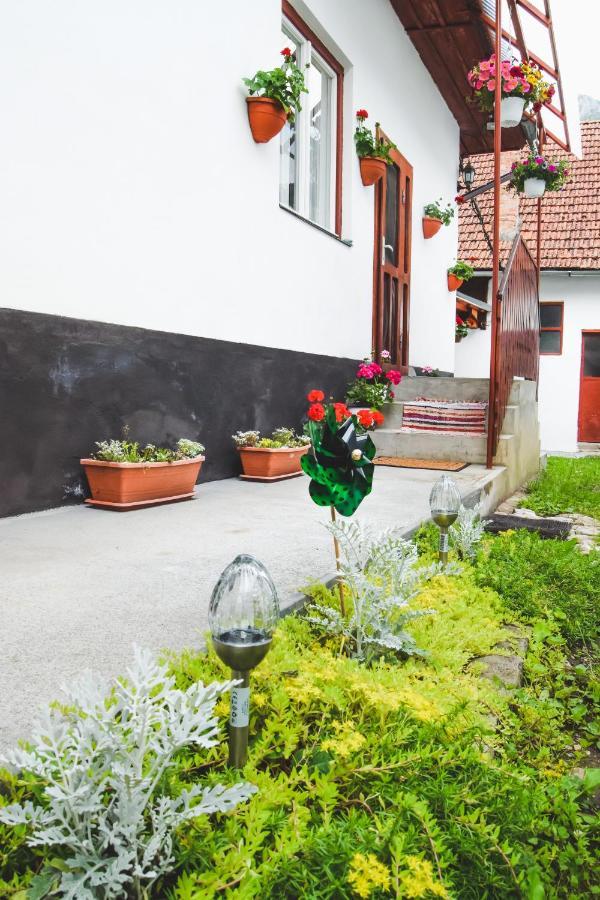 Casa De Vacanta Harsfa Vendeghaz Rimetea Exteriör bild