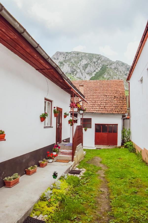 Casa De Vacanta Harsfa Vendeghaz Rimetea Exteriör bild