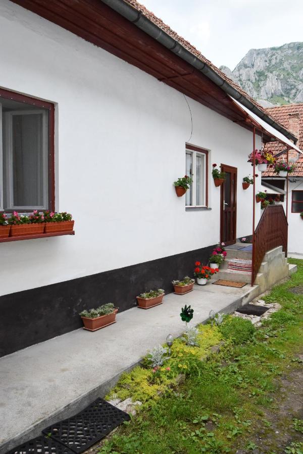 Casa De Vacanta Harsfa Vendeghaz Rimetea Exteriör bild